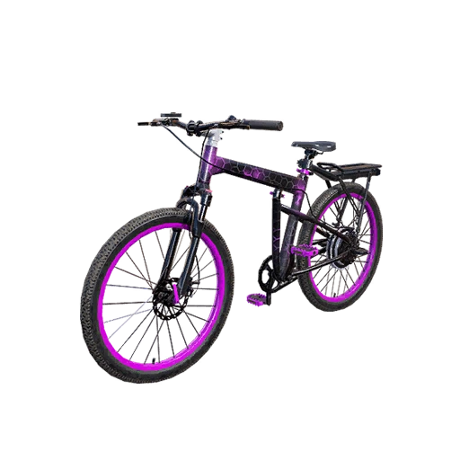 Tech Matrix 2-Seat Bike
