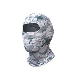 Winter Guardian Mask