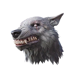 Wolf Head (Gray)
