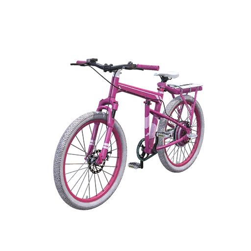Friendship Bike