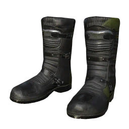 Snow Fashionista Shoes