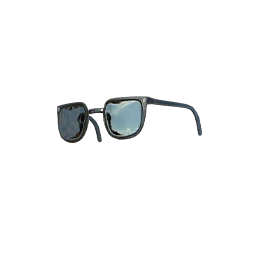 Chic Shades