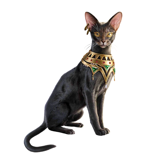 Spirit Kitty