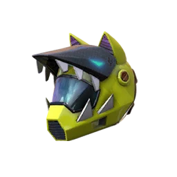Coyote Rider Cover