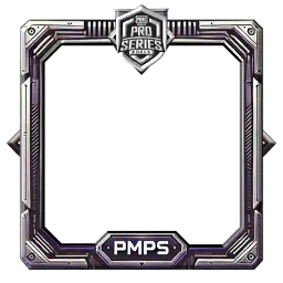 PMPS Frame