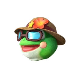 Frog Tourist Cover