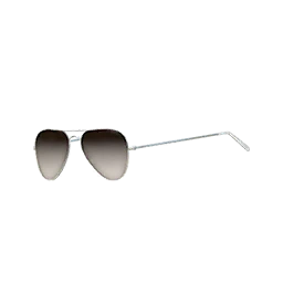Remote Excursion Glasses