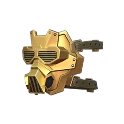 C2S4 Mask