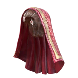 Maxi Cover