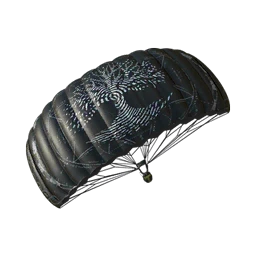 Cosmic Imprint Parachute