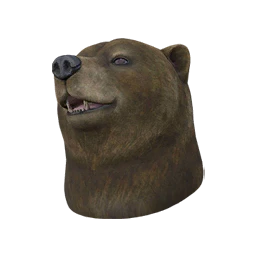 Acrobatic Bear Cover