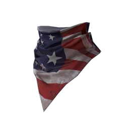 USA Scarf