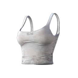 Prisoner Vest