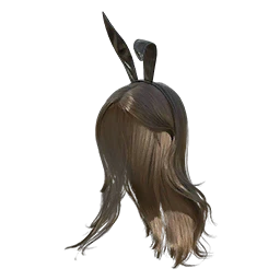 Bunny Beauty Cover