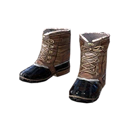 Western Boots