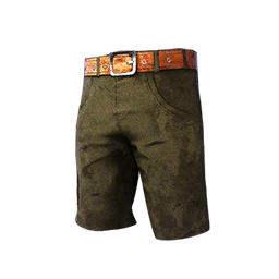 Summertime Shorts (Olive)