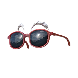 Kamesennin Style Sunglasses