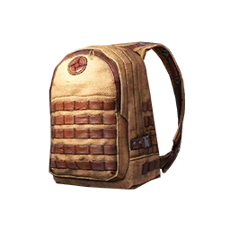 Explorer's Backpack