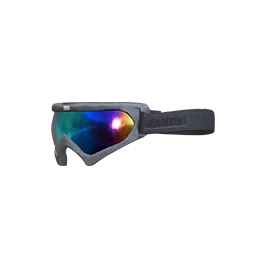 Dazzling Snowboarder Goggles