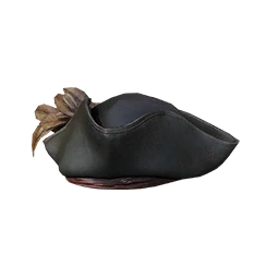 Pirate Hat