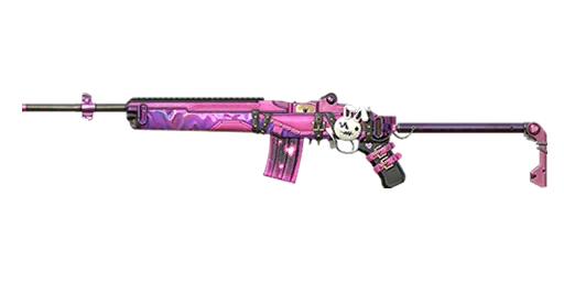 C4S12 - Mini14