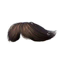 Queensguard Beard