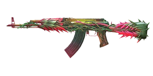 Wonderland - AKM