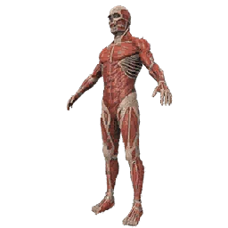Colossal Titan (Armin) Set