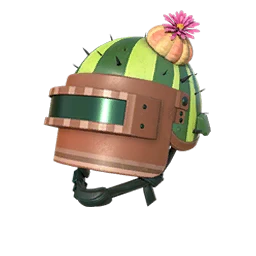 Cactus Sheriff Helmet