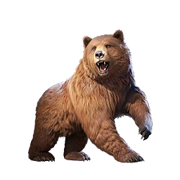 Grizzly Bear Buddy