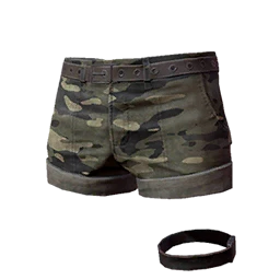 Camo Hotpants
