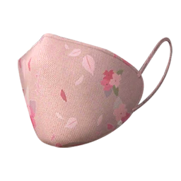 Elegant Daily Wear Mask