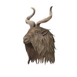 Markhor Cover