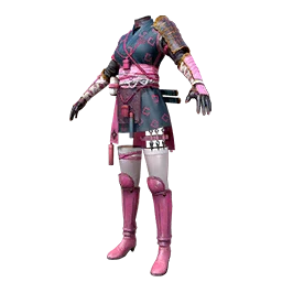 Ninja Kitty Set