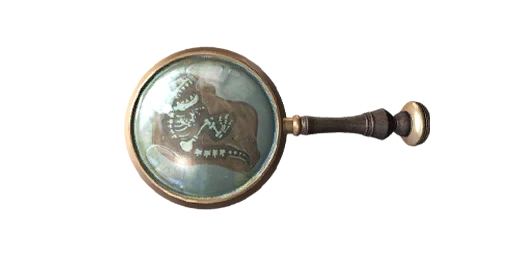 Fossil - Pan