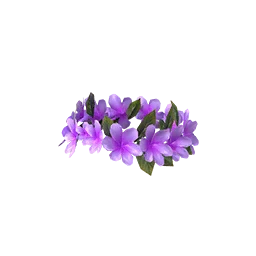 Luau Haku Lei