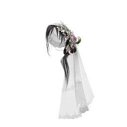 Floral Waltz Cover