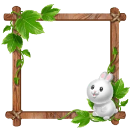 Rabbit Frame
