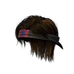 Tailgate Craze Hairstyle