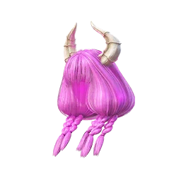 Aura's Hairstyle