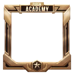 PUBG MOBILE Academy Avatar Frame - Bronze