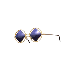 C5S15 Glasses