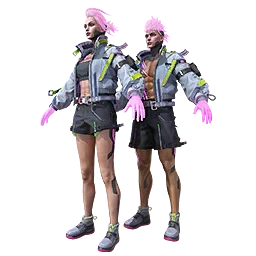 Boxerbolt Set