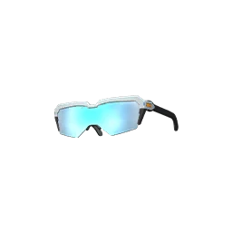 C7S21 Glasses