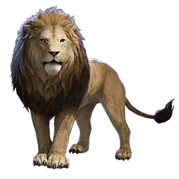 Lion Buddy