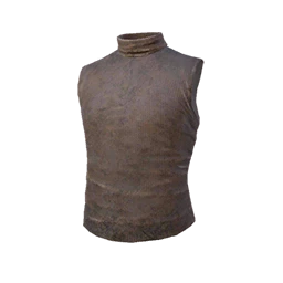 Sleeveless Turtleneck