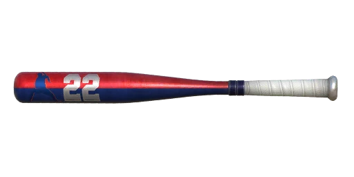 Juan Soto Baseball Bat