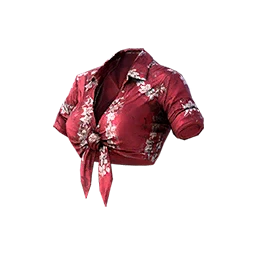 Summertime Crop Top (Burgundy)