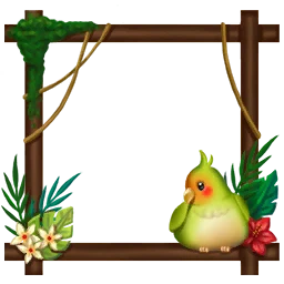 Parrot frame