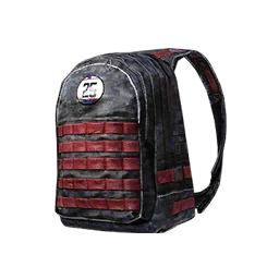 Red & Black Backpack